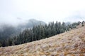 Dramatic foggy landscape in the mountains