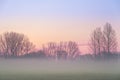 Fog over the grassland with in the background a railway with electric top mast Royalty Free Stock Photo