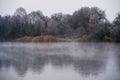 Fog over lake, winter trees in background