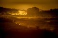 Mist over meadow and forest Royalty Free Stock Photo