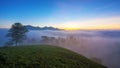 Fog over mountain and forest on sunrise at Da Lat, Vietnam Royalty Free Stock Photo