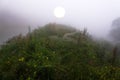 Fog over mountain meadows and huge misty sun is rising