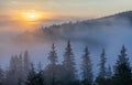 Fog over mountain range in sunrise light.