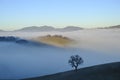 fog over the mountains and hills across the blue sky. Silhouette of the tree across the fog. Minimalistic panorama Royalty Free Stock Photo