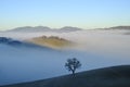 fog over the mountains and hills across the blue sky. Silhouette of the tree across the fog. Minimalistic panorama Royalty Free Stock Photo