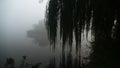 Fog over the pond. Early morning. Katowice Royalty Free Stock Photo