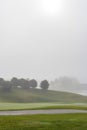 Heavy fog over golf course on early spring morning Royalty Free Stock Photo