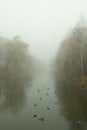 fog over the river in the autumn park. Royalty Free Stock Photo