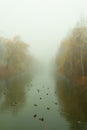 Landscape in the autumn park. Fog over the river. Royalty Free Stock Photo