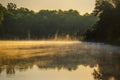 fog over the river in the early morning illuminated by the sun, the reflection of trees Royalty Free Stock Photo