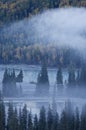 Fog over river & forest in autumn Royalty Free Stock Photo
