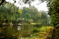 Fog over river in forest in the autumn