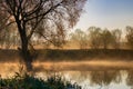 Fog over river surface on a sunny autumn morning. River landscape Royalty Free Stock Photo