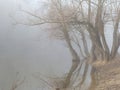 Fog over water in the spring in the early morning. Royalty Free Stock Photo