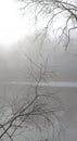 Fog over water in the spring in the early morning. Royalty Free Stock Photo