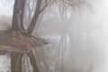 Fog over water in the spring in the early morning. Royalty Free Stock Photo