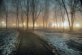 Fog in park at night by the light of street lamps Royalty Free Stock Photo