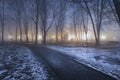 Fog in park at night by the light of street lamps Royalty Free Stock Photo