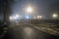 Fog in park at night by the light of street lamps Royalty Free Stock Photo