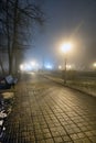 Fog in park at night by the light of street lamps Royalty Free Stock Photo