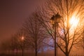 Fog in park at night by the light of street lamps Royalty Free Stock Photo