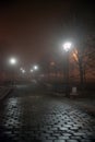 Fog in park at night by the light of street lamps Royalty Free Stock Photo