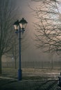 Fog in park at night by the light of street lamps Royalty Free Stock Photo