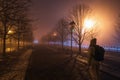 Fog in park at night by the light of street lamps Royalty Free Stock Photo