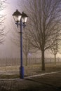 Fog in park at night by the light of street lamps Royalty Free Stock Photo