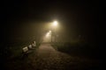 Fog in the park, night, soft focus, high iso,