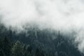 Fog in the pine forest in morning, Dark tone image. Foggy mountain landscape with fir forest, Royalty Free Stock Photo