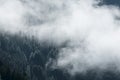 Fog in the pine forest in morning, Dark tone image. Foggy mountain landscape with fir forest, Royalty Free Stock Photo