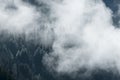 Fog in the pine forest in morning, Foggy mountain landscape with fir forest, Austria Royalty Free Stock Photo