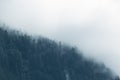 Fog in the pine forest in  morning, Foggy mountain landscape with fir forest, Austria Royalty Free Stock Photo