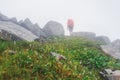 Fog after rain in the mountains of Kuznetsky Alatau, a tourist with a backpack went up the mountain Royalty Free Stock Photo