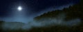 Fog is rising over the night forest. A bright star indicates the Nativity of Jesus Christ in the starry sky Royalty Free Stock Photo