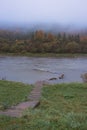 Fog on the river in autumn mountains. Frosty morning in mountains at the riverside. Tranquil autumn landscape with river Royalty Free Stock Photo