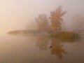 Fog on the river Royalty Free Stock Photo