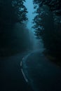 Fog in Road in Himalayas Royalty Free Stock Photo