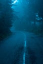 Fog in Road in Himalayas Royalty Free Stock Photo