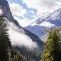 Fog on the road to the alps in Switzerland.