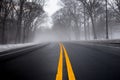 Fog on Road