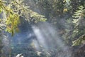 Fog rocks and forest of Carpathian Mountains in Ukraine Royalty Free Stock Photo