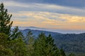 Fog rolling in around Mount Tamalpais north of San Francisco Cal Royalty Free Stock Photo