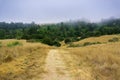 Fog rolling over hills and meadows, Santa Cruz, California Royalty Free Stock Photo