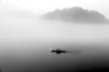 Fog scene in little dongjiang river