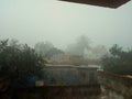 FOG SCENE DURING WINTER IN INDIA