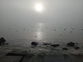 Fog on the sea. View from the rocky shore. Calm, seagulls on rocks and water.