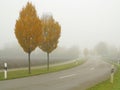 Fog shrouded rural road fall season Royalty Free Stock Photo