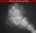 Fog or smoke isolated transparent special effect. White cloudiness, mist or smog background. Vector illustration.